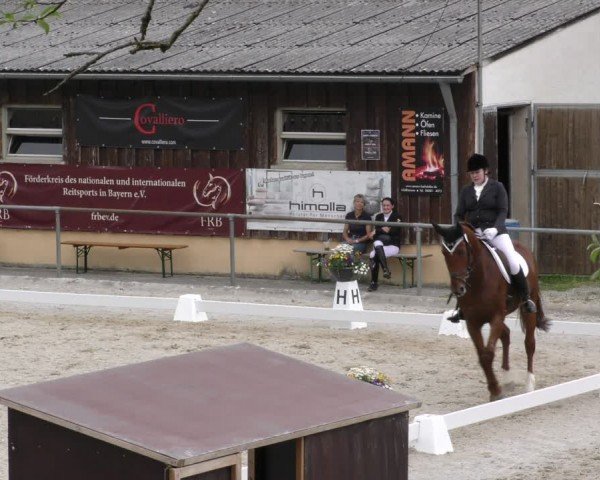 Reitturnier Taufkirchen-Vils/Obb. 2024