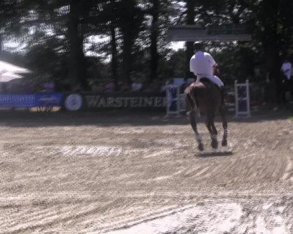Datteln 2012