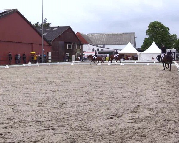 Reitturnier Sörup 2024