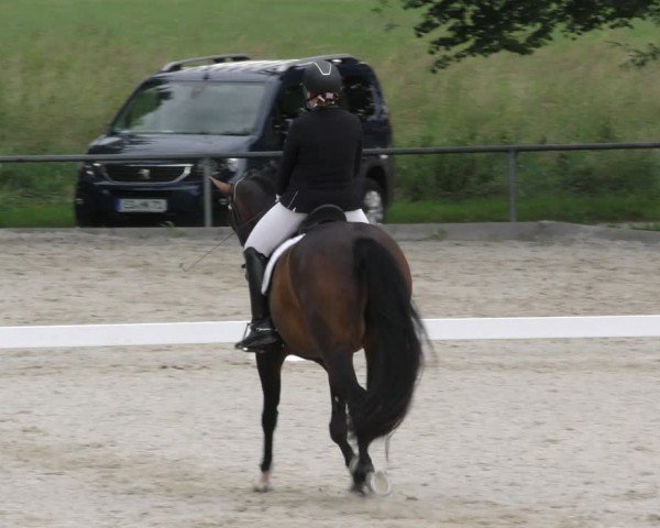 Reitturnier Taufkirchen-Vils/Obb. 2024