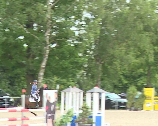 Reitturnier Rot am See- Musdorf 2024