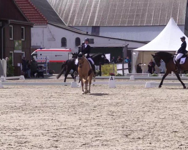 Reitturnier Sörup 2024