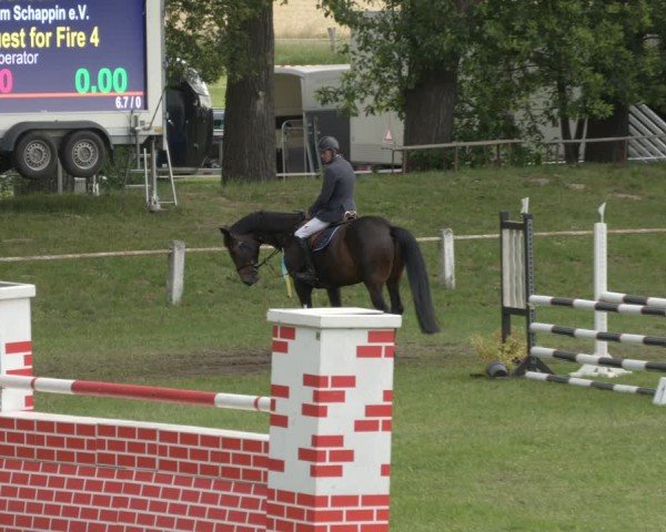 Reitturnier Sonnewalde 2024