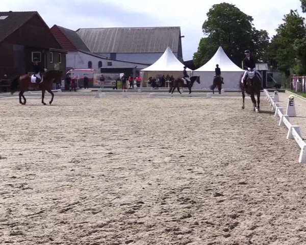 Reitturnier Sörup 2024