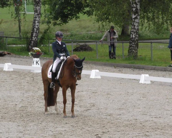 Reitturnier Taufkirchen-Vils/Obb. 2024