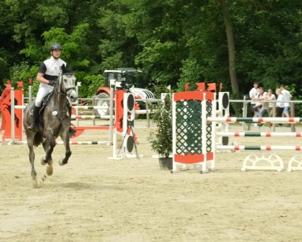 Reitturnier Winnenden 2024