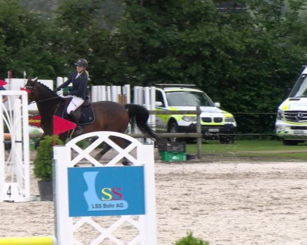 Reitturnier Ruswil 2024