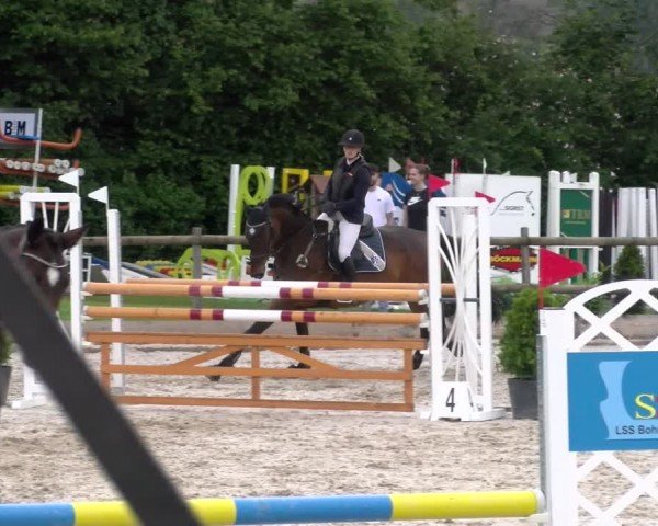 Reitturnier Ruswil 2024