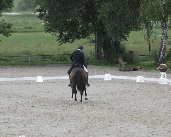 Reitturnier Taufkirchen-Vils/Obb. 2024