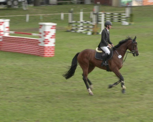 Reitturnier Sonnewalde 2024