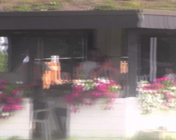 Datteln 2012