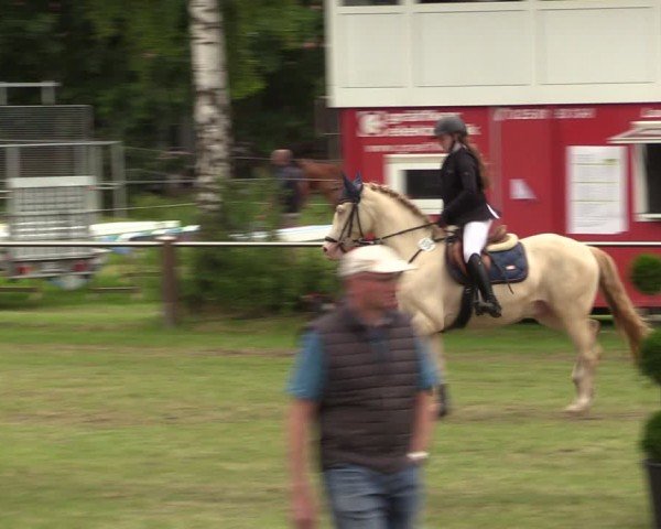 Reitturnier Hille 2024