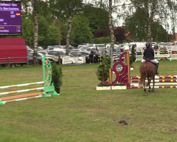 Reitturnier Hille 2024