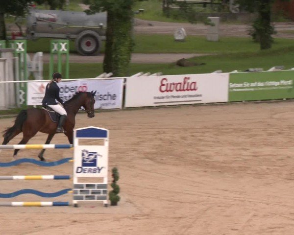 Reitturnier Stadl-Paura 2024