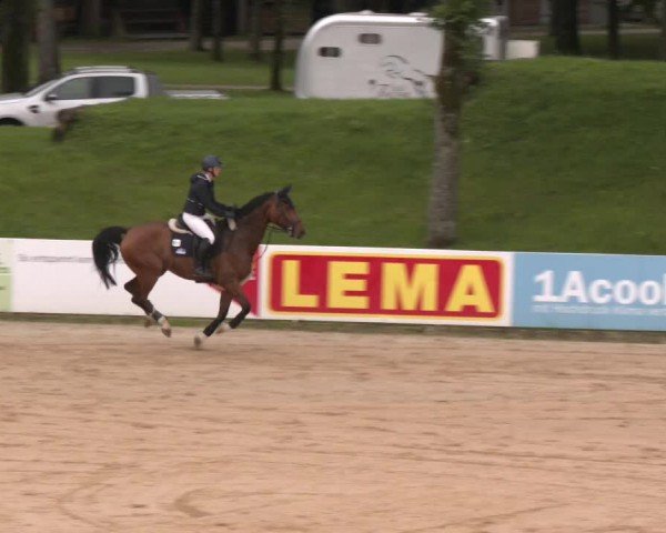 Reitturnier Stadl-Paura 2024