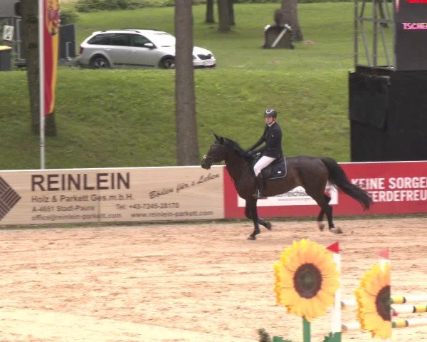 Reitturnier Stadl-Paura 2024