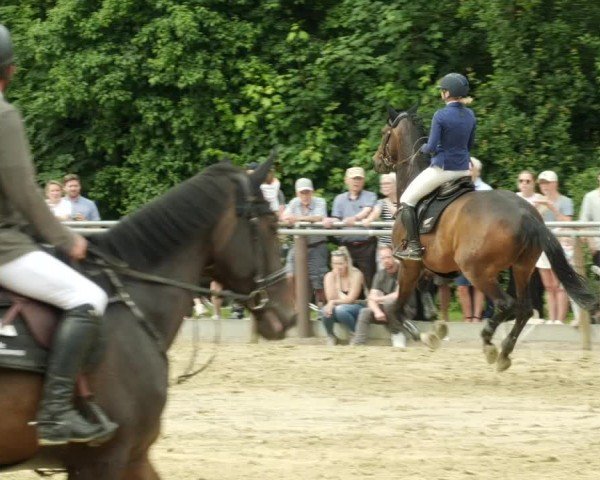 Reitturnier Winnenden 2024