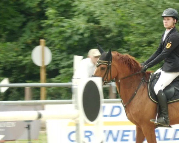 Reitturnier Winnenden 2024