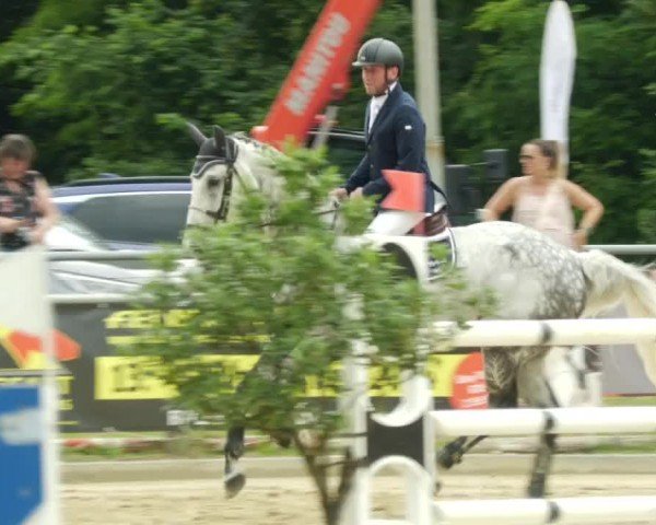 Reitturnier Winnenden 2024