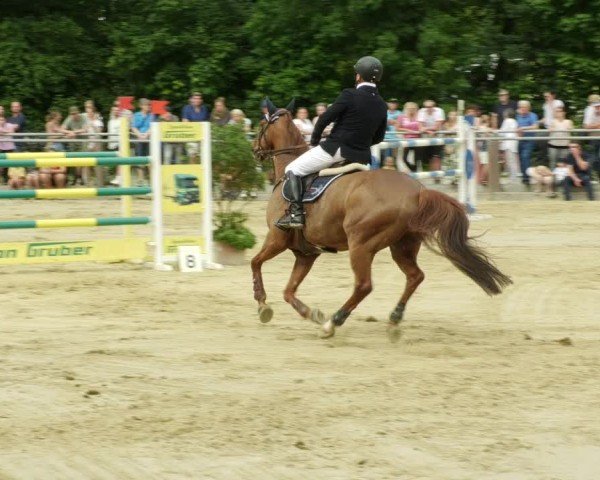 Reitturnier Winnenden 2024