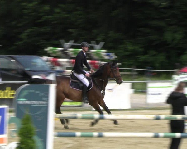 Reitturnier Oelde 2024