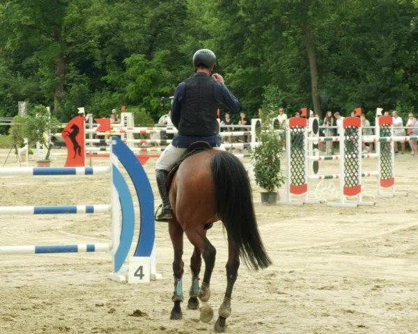 Reitturnier Winnenden 2024