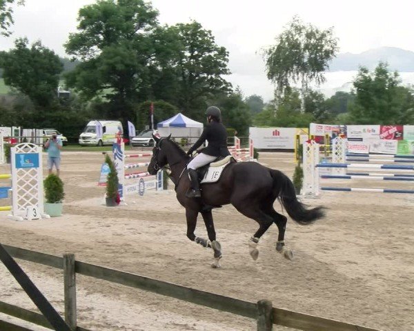 Reitturnier Ruswil 2024