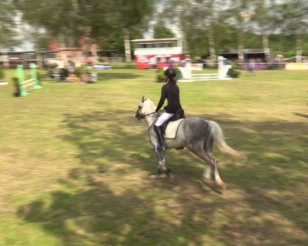 Reitturnier Hille 2024