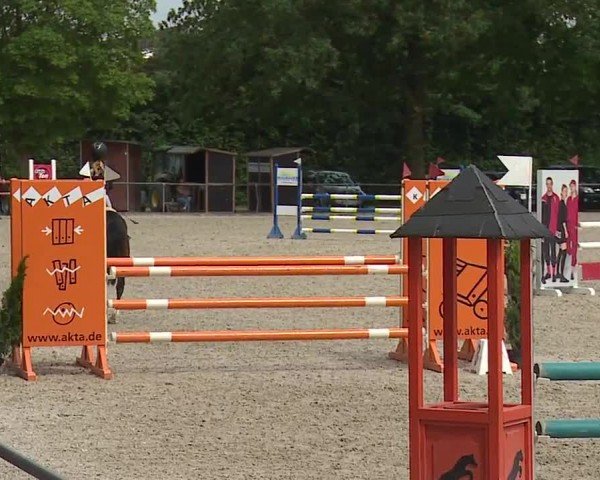 Reitturnier Rot am See- Musdorf 2024