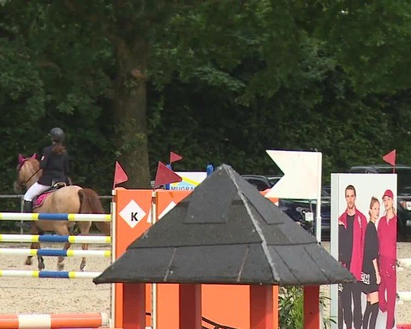 Reitturnier Rot am See- Musdorf 2024