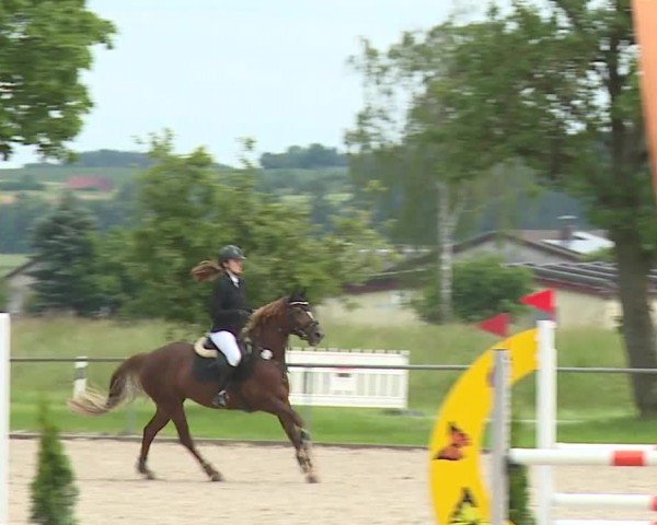 Reitturnier Rot am See- Musdorf 2024