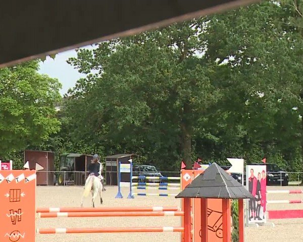 Reitturnier Rot am See- Musdorf 2024