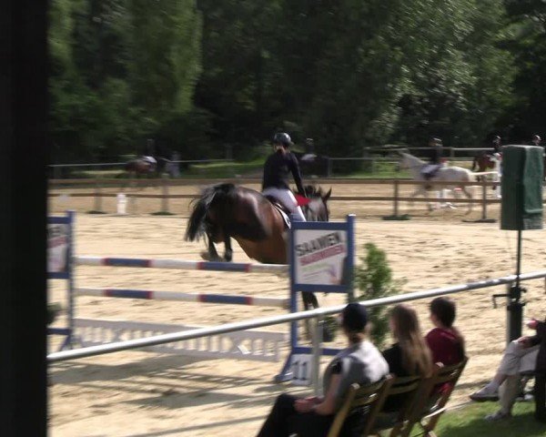 Reitturnier Oelde 2024