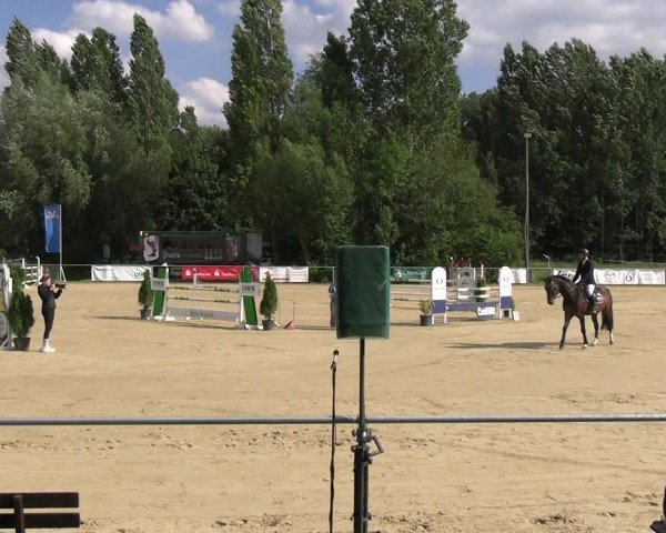Reitturnier Oelde 2024