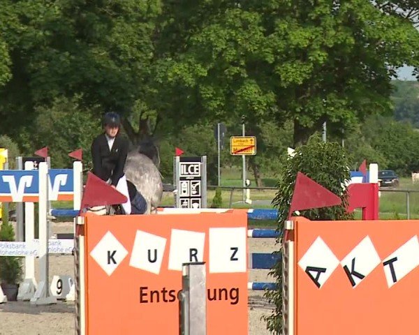 Reitturnier Rot am See- Musdorf 2024