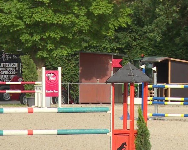 Reitturnier Rot am See- Musdorf 2024