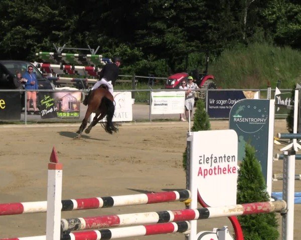Reitturnier Oelde 2024