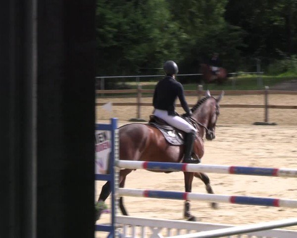 Reitturnier Oelde 2024