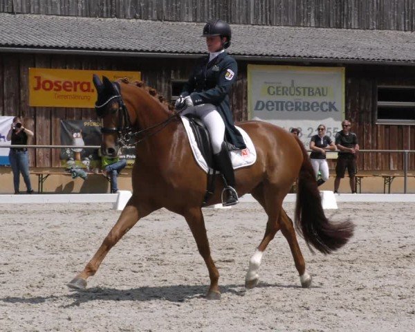 Reitturnier Taufkirchen-Vils/Obb. 2024