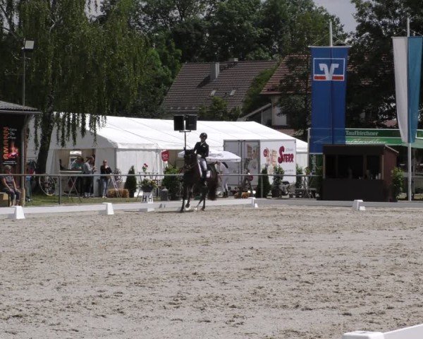 Reitturnier Taufkirchen-Vils/Obb. 2024
