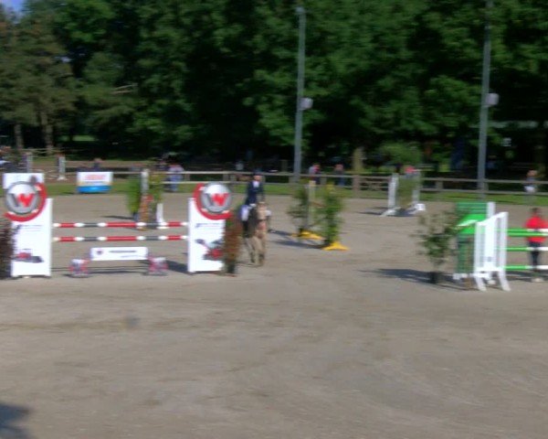 Reitturnier Barlo-Bocholt 2024
