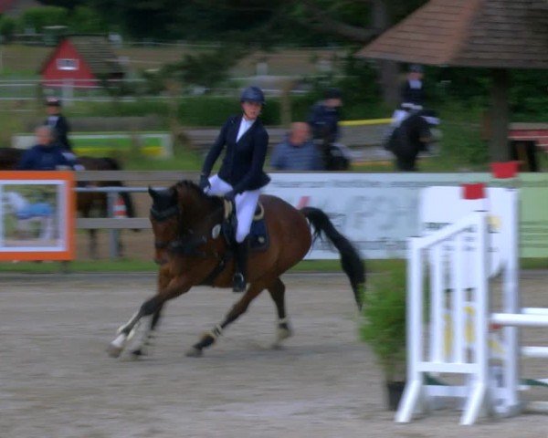 Reitturnier Barlo-Bocholt 2024
