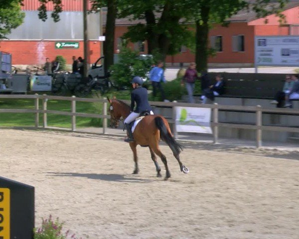 Reitturnier Barlo-Bocholt 2024