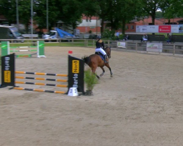 Reitturnier Barlo-Bocholt 2024