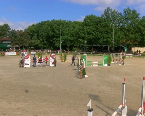 Reitturnier Barlo-Bocholt 2024