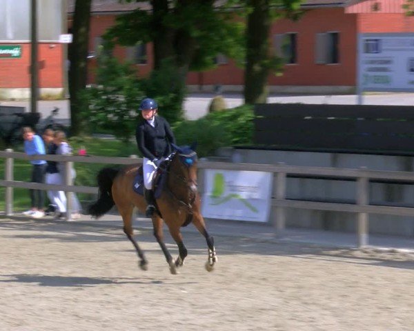 Reitturnier Barlo-Bocholt 2024