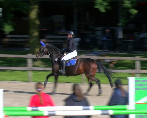 Reitturnier Barlo-Bocholt 2024
