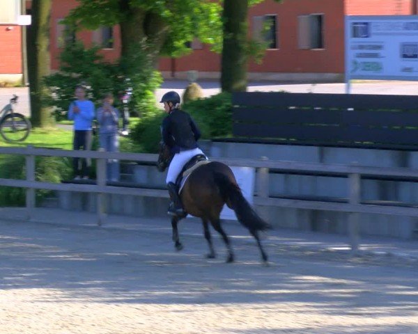 Reitturnier Barlo-Bocholt 2024