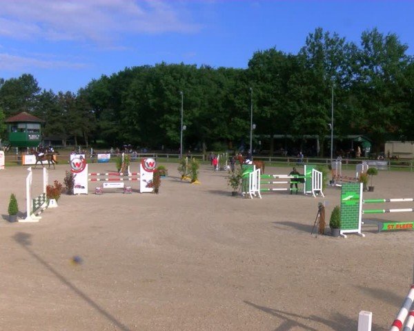 Reitturnier Barlo-Bocholt 2024