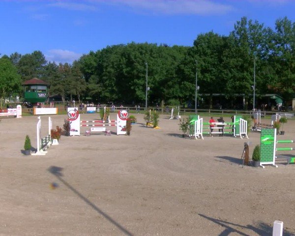 Reitturnier Barlo-Bocholt 2024